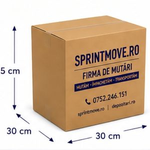 Cutie carton SprintMove C03 300x300x350mm